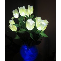 Тюльпаны (15 цветков)